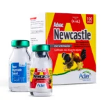 Newcastle